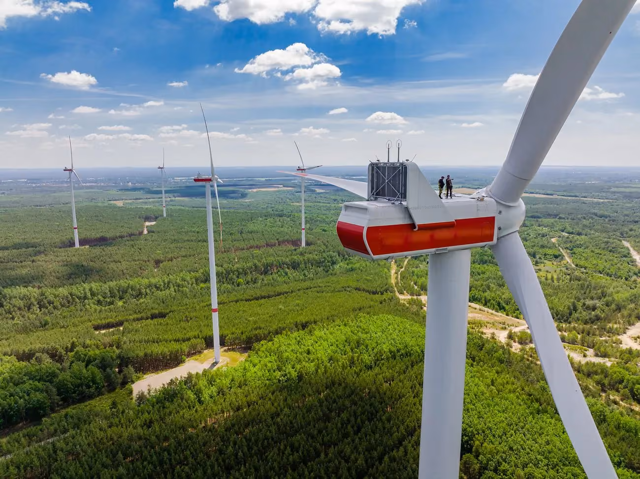 Windräder in einer grünen Landschaft